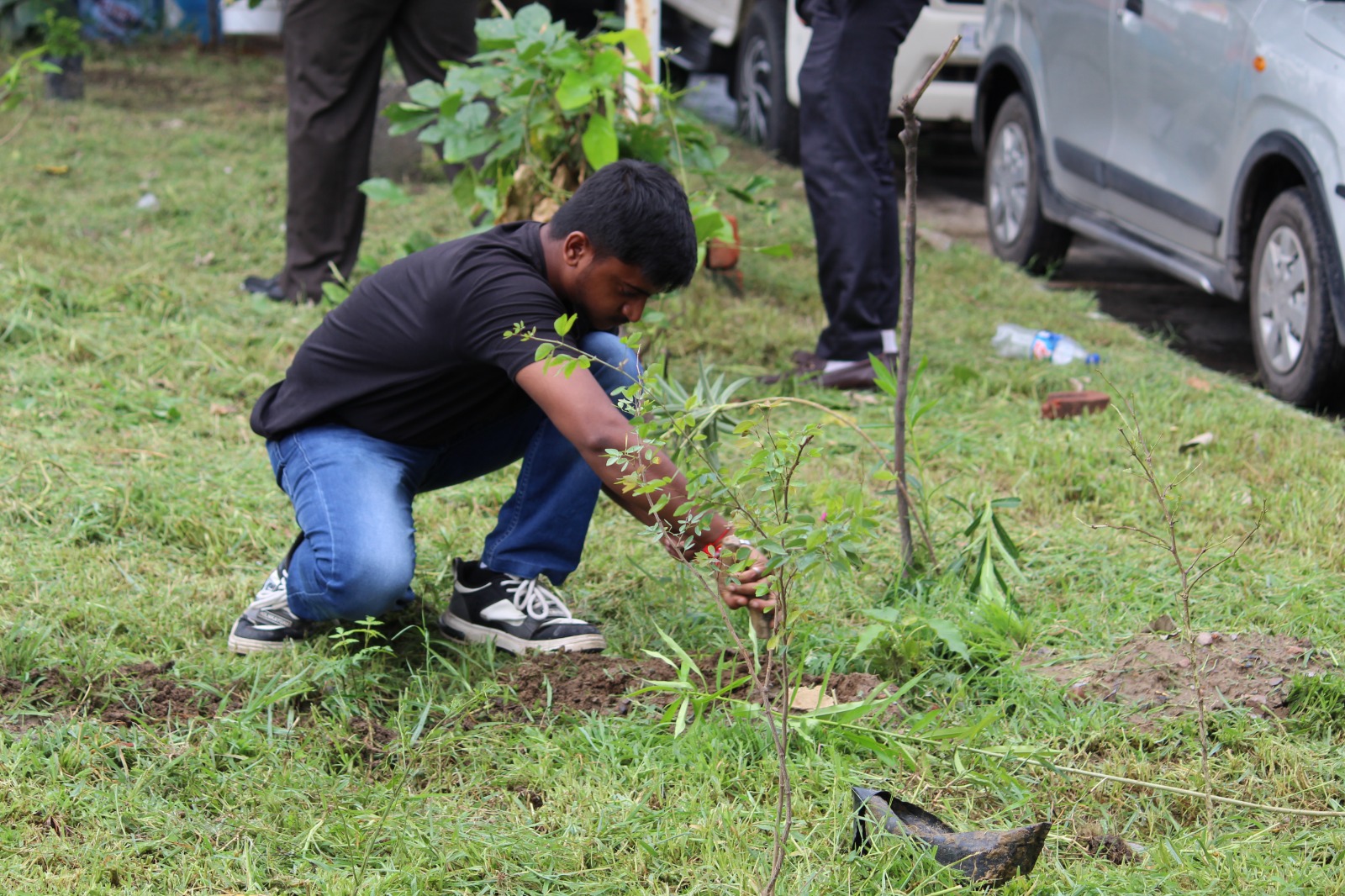 Tree Plantation Drive