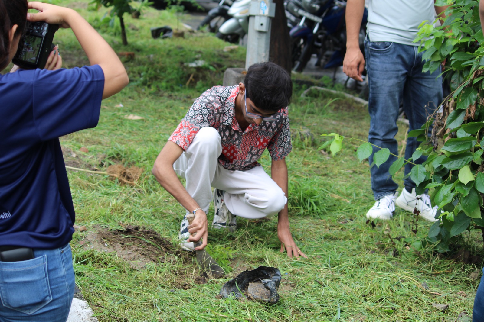 Tree Plantation Drive